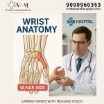 Ulnar Wrist Anatomy - Understanding Pain Locations